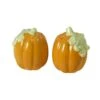 Plymouth Pumpkin Salt And Pepper Set 1 Plymouth Pumpkin Salt And Pepper Set -Deals Tableware Store plymouth pumpkin salt and pepper set 5102521 1